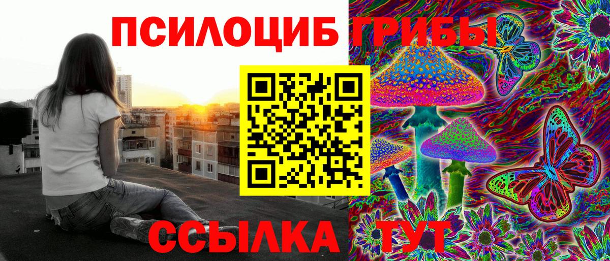 где купить   Галлюциногенные грибы мицелий  Вход с VPN  Североуральск 